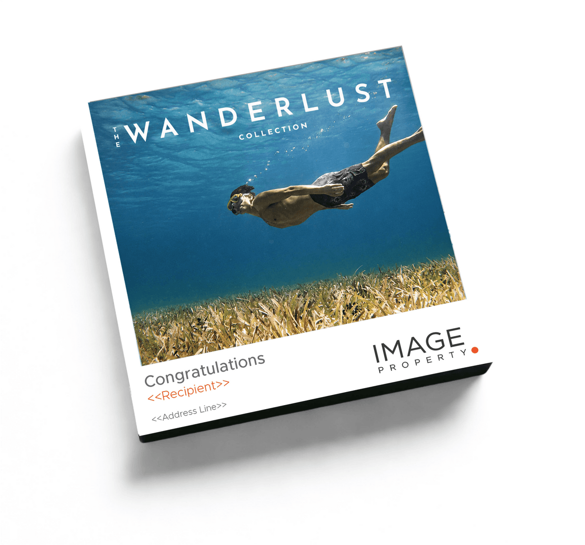 Wanderlust - Experience Portfolio (Image Property) - We Wander