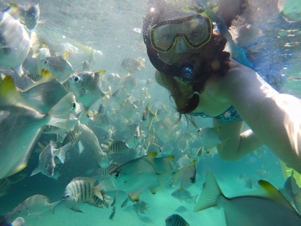 1 Day Moreton Island Snorkel Kayak & Sandboard Adventure Tour - We Wander