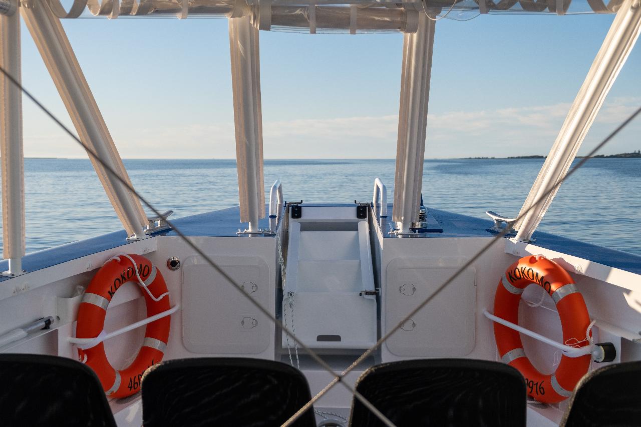 2.5Hr Whale Watching Cruise - We Wander