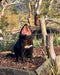 3 Day Tasmanian Highlights Tour '' Hobart, Port Arthur And Bruny Island - We Wander