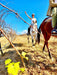 30 - Minute Family Horse Ride - Bushland Trail - We Wander