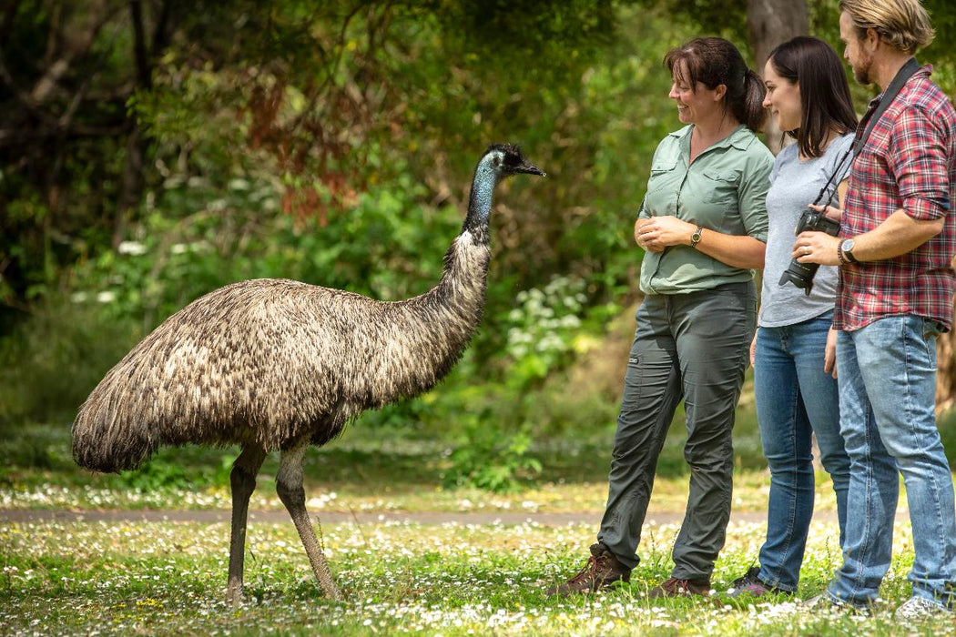 Autopia Tours: Great Ocean Road To Grampians 3 Day 