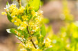Autopia Tours: Melbourne To Adelaide 2 Day 