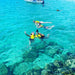Morning Dolphin Kayaking & Snorkeling Tour