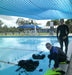 Padi Open Water Course