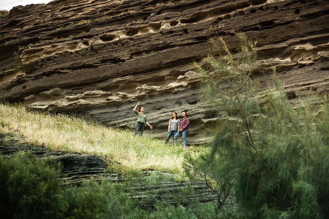 Autopia Tours: Great Ocean Road To Grampians 3 Day 