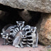 Deluxe Safari Adventure & General Entry For Two