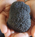 Truffle Hunt, Touch And Taste