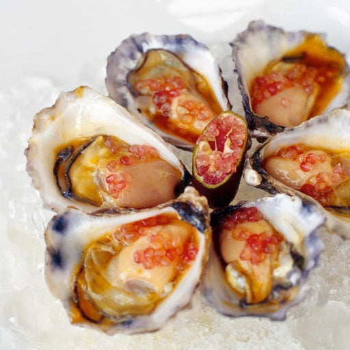 A Coastal Fine Dining Experience At Fins Restaurant - We Wander