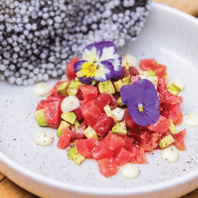 A Gastro Pub Dining Experience At The Buena - We Wander