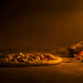 An Exceptional Italian Dining Experience At Il Camino - We Wander
