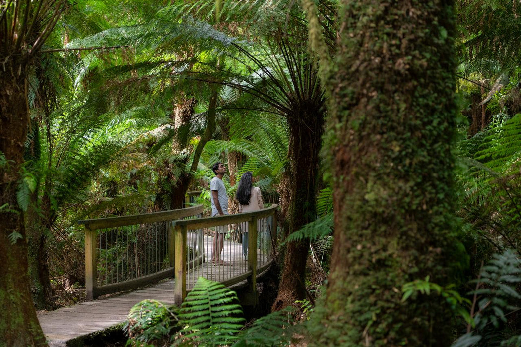 Autopia Tours: Great Ocean Road Twelve Apostles Tour - We Wander