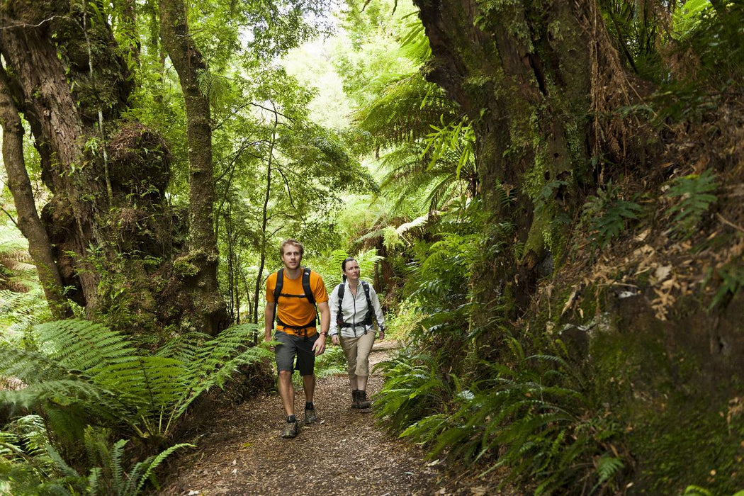 Autopia Tours: Great Ocean Road Twelve Apostles Tour - We Wander