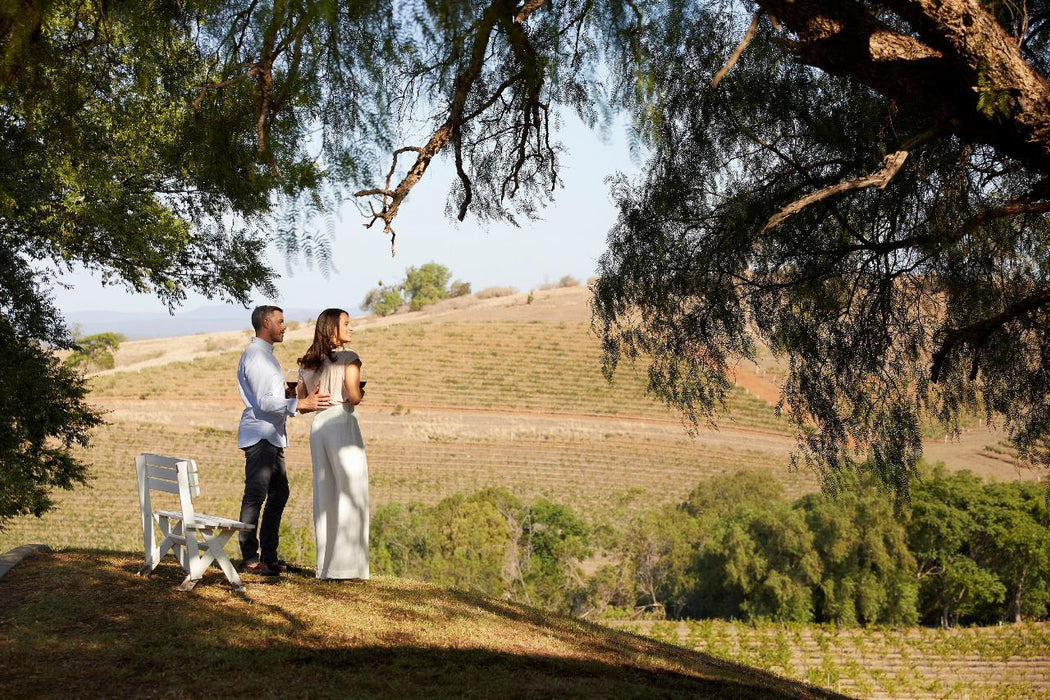 Autopia Tours: Hunter Valley Scenic Wine Tour With Lunch - We Wander