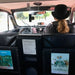 Barossa Red Vintage Half Day Private Tour - We Wander