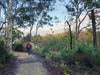 Bickley Valley Hiking Experience - We Wander