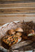Bread Making - Sourdough, Focaccia, Ciabatta, Milk Buns - We Wander