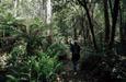 Bruny Island Day Tour - We Wander