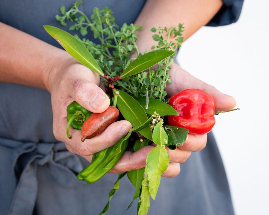 Cooking With Australian Ingredients Master Class - We Wander