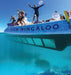 Coral Viewing & Snorkel Tour, Exmouth 2Hrs - We Wander