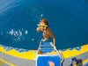 Daydream Island Southern Lights Tour - We Wander