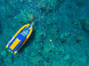 Daydream Island Southern Lights Tour - We Wander