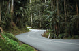 Daytime - Scenic Rim Glow Worm Tour - Gold Coast Pickup - We Wander