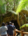 Daytime - Scenic Rim Glow Worm Tour - Gold Coast Pickup - We Wander
