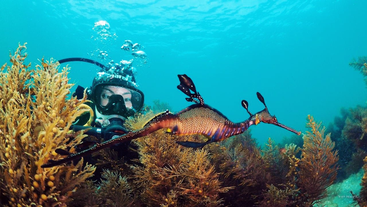 Water Experiences in Australia