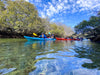 Dolphin Sanctuary Mangroves Tour - We Wander