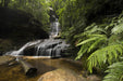 Empress Canyon Abseiling And Canyoning Adventure - Blue Mountains - We Wander