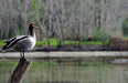 Fishermans Paradise Eco - Walk - We Wander