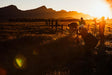 Flinders Ranges Photography Tour - We Wander