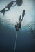 Freediving Course - Airlie Beach - 2 Day - We Wander