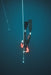 Freediving Course - Gold Coast - 2 Day - We Wander