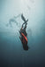 Freediving Course - Gold Coast - 2 Day - We Wander