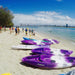 Morning Dolphin Kayaking & Snorkeling Tour