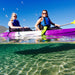 Morning Dolphin Kayaking & Snorkeling Tour