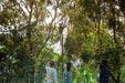 Gold Coast Eco Safari - We Wander