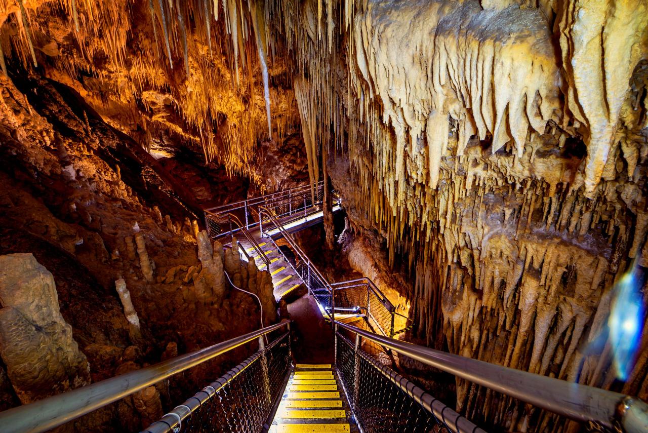 Hastings Caves, Thermal Springs And Tahune Airwalk - We Wander