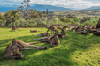 Hobart Highlights Day Tour - We Wander