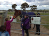 Horses, Wine & Beer Tour - We Wander