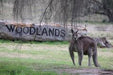 Horses, Wine & Beer Tour - We Wander