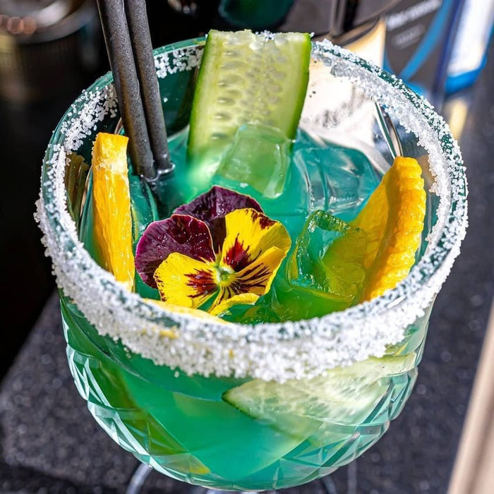 Indian Wine & Dine At Kashi Indian - We Wander