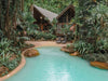Jungle Stopver At Ferntree Rainforest Lodge - We Wander