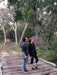 Koala Walking Tour - We Wander