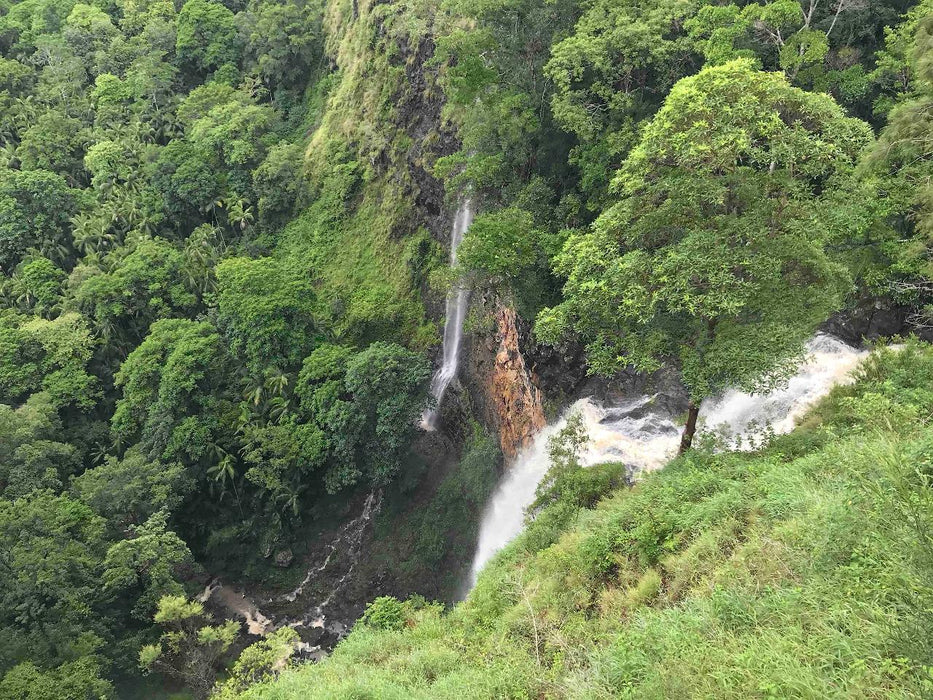 Maleny And Montville Tour With Artisan Village And Wine Tasting - Luxury Private Tour - We Wander