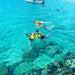 Morning Dolphin Kayaking & Snorkeling Tour - We Wander