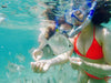 Morning Dolphin Kayaking & Snorkeling Tour - We Wander