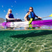 Morning Dolphin Kayaking & Snorkeling Tour - We Wander